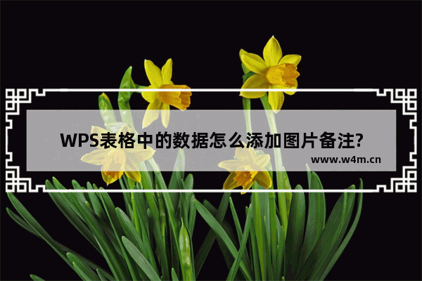 WPS表格中的数据怎么添加图片备注?