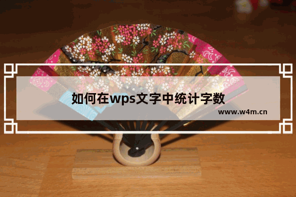 如何在wps文字中统计字数