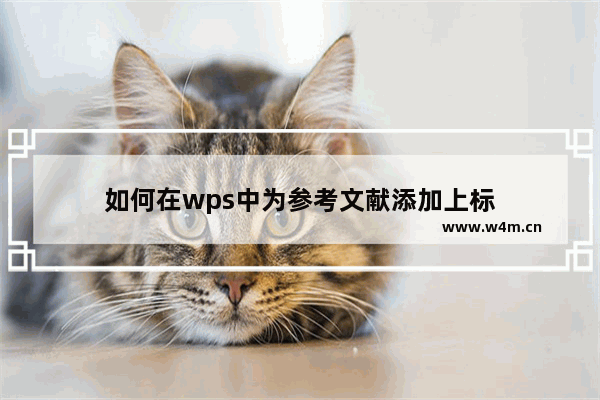 如何在wps中为参考文献添加上标