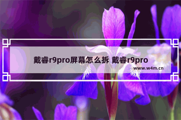 戴睿r9pro屏幕怎么拆 戴睿r9probios图解