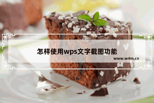 怎样使用wps文字截图功能