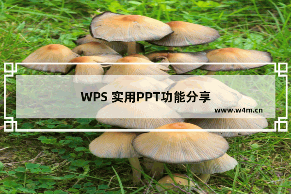 WPS 实用PPT功能分享