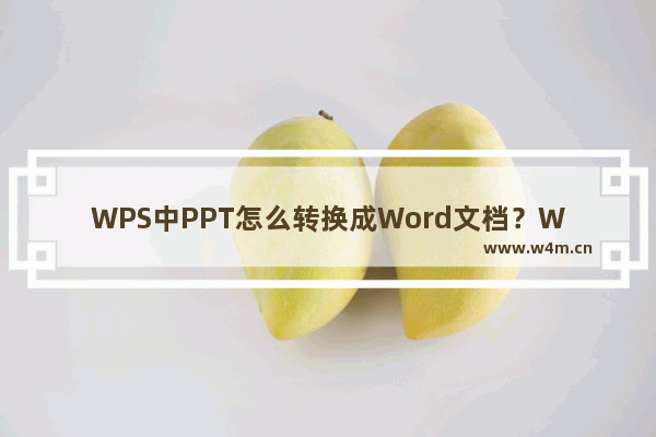 WPS中PPT怎么转换成Word文档？WPS中PPT转换成Word文档的详细步骤