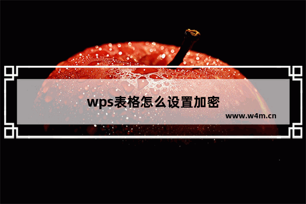 wps表格怎么设置加密