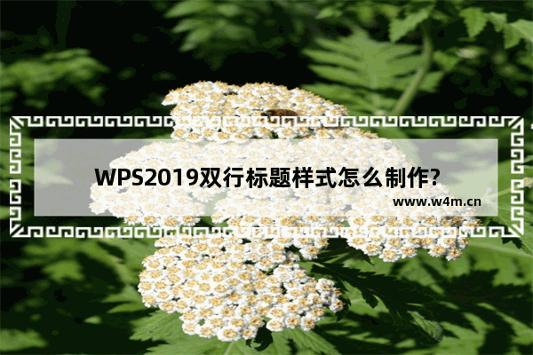 WPS2019双行标题样式怎么制作?