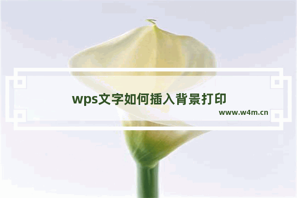 wps文字如何插入背景打印