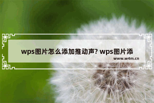 wps图片怎么添加推动声? wps图片添加声音的技巧