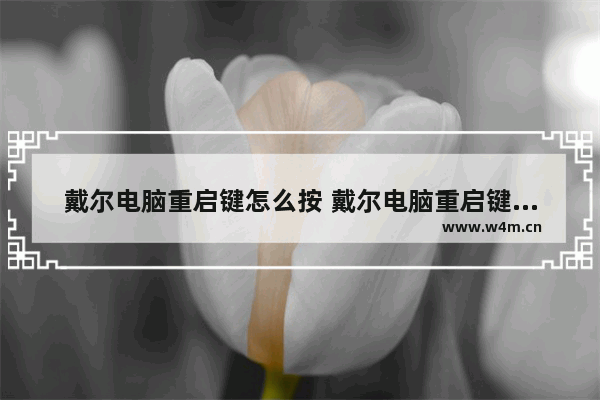 戴尔电脑重启键怎么按 戴尔电脑重启键是哪个键