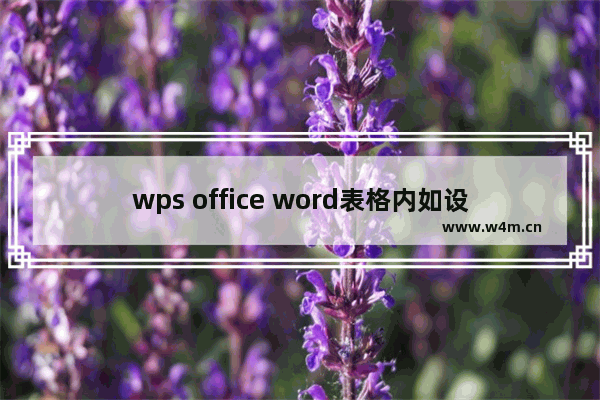 wps office word表格内如设置行距