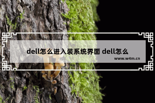 dell怎么进入装系统界面 dell怎么进入u盘安装系统