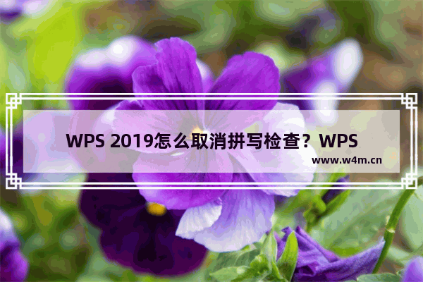 WPS 2019怎么取消拼写检查？WPS 2019关闭拼写检查教程