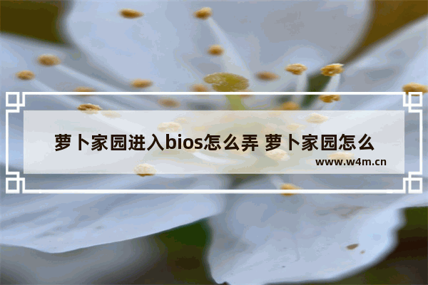 萝卜家园进入bios怎么弄 萝卜家园怎么恢复出厂设置