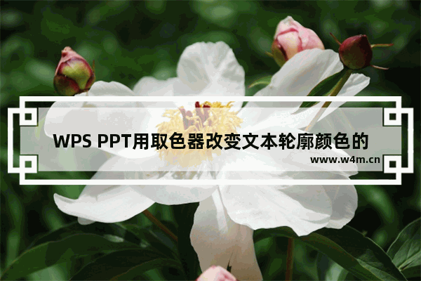 WPS PPT用取色器改变文本轮廓颜色的方法