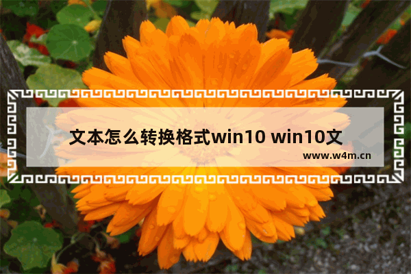 文本怎么转换格式win10 win10文本文档怎么变成文件