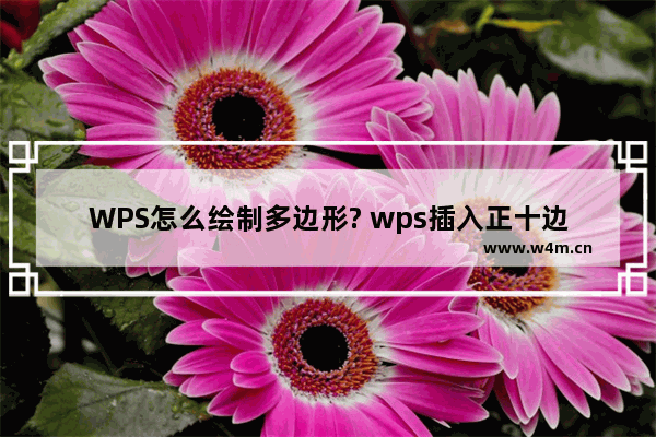 WPS怎么绘制多边形? wps插入正十边形的教程