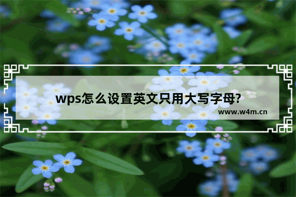 wps怎么设置英文只用大写字母?