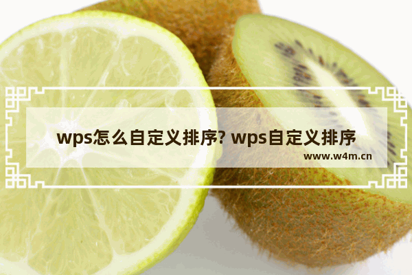 wps怎么自定义排序? wps自定义排序的教程