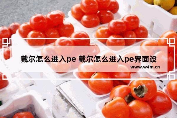 戴尔怎么进入pe 戴尔怎么进入pe界面设置