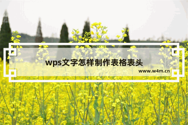 wps文字怎样制作表格表头