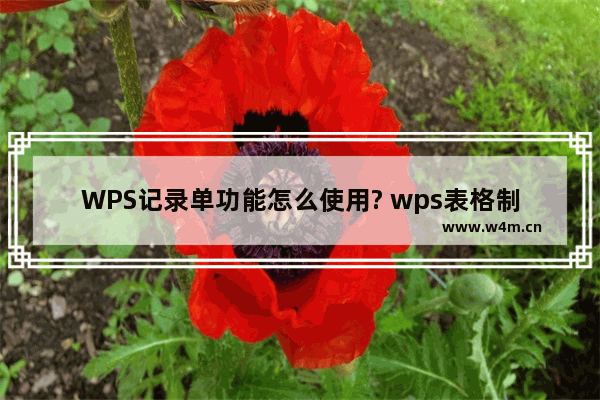 WPS记录单功能怎么使用? wps表格制作记录单的教程