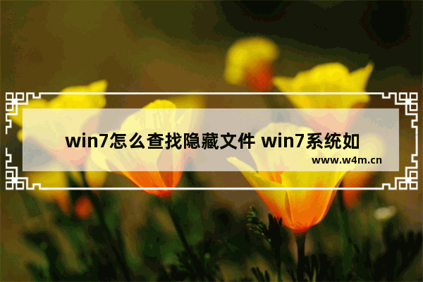 win7怎么查找隐藏文件 win7系统如何查找隐藏的文件