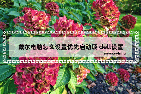 戴尔电脑怎么设置优先启动项 dell设置优先启动盘