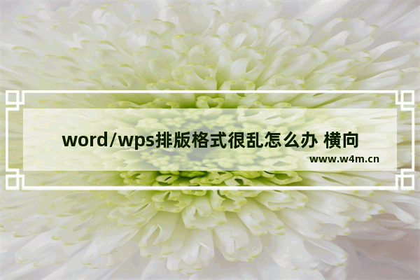 word/wps排版格式很乱怎么办 横向/竖向/分割排版实例教程