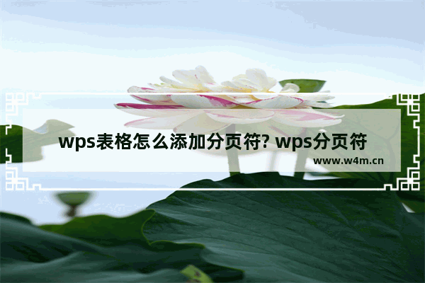 wps表格怎么添加分页符? wps分页符的使用教程