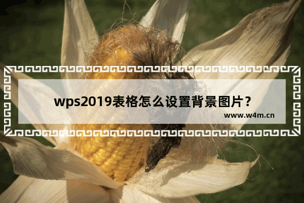 wps2019表格怎么设置背景图片？