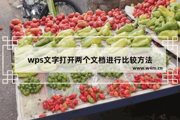 wps文字打开两个文档进行比较方法