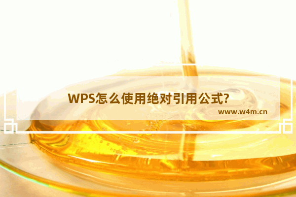 WPS怎么使用绝对引用公式?