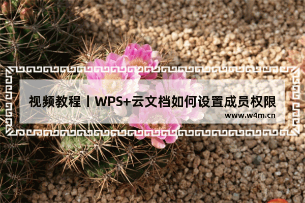 视频教程丨WPS+云文档如何设置成员权限