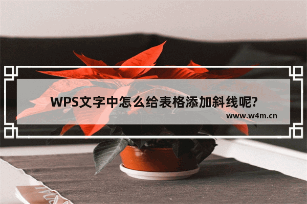 WPS文字中怎么给表格添加斜线呢?