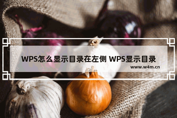 WPS怎么显示目录在左侧 WPS显示目录在左侧方法