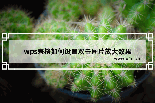 wps表格如何设置双击图片放大效果