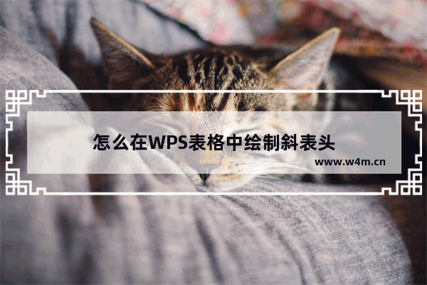 怎么在WPS表格中绘制斜表头