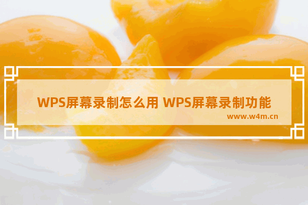 WPS屏幕录制怎么用 WPS屏幕录制功能使用方法