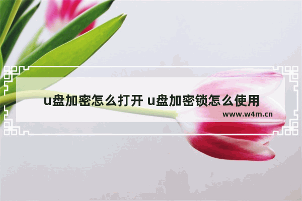 u盘加密怎么打开 u盘加密锁怎么使用