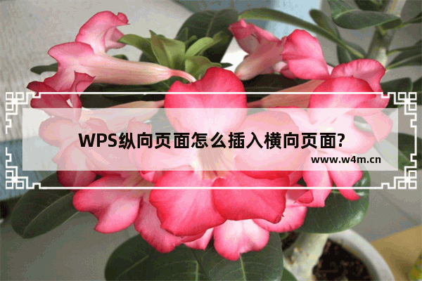 WPS纵向页面怎么插入横向页面?