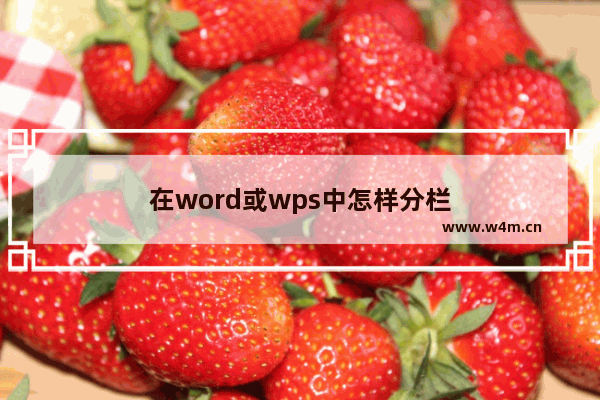 在word或wps中怎样分栏