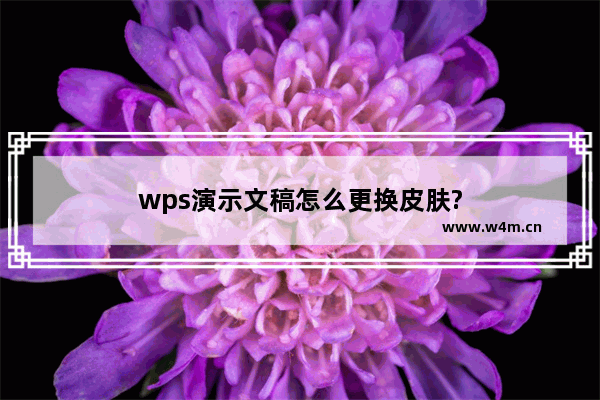 wps演示文稿怎么更换皮肤?