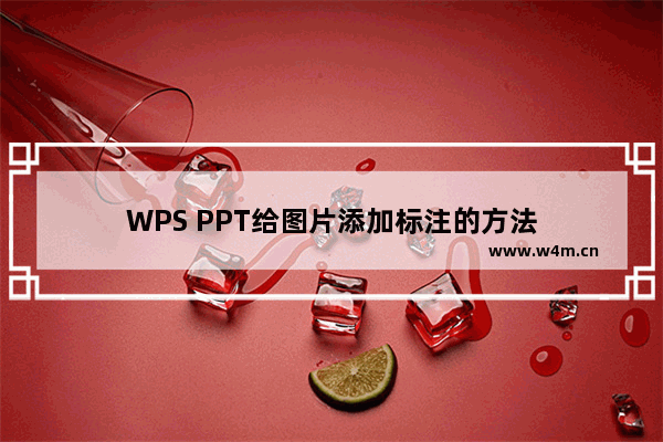 WPS PPT给图片添加标注的方法