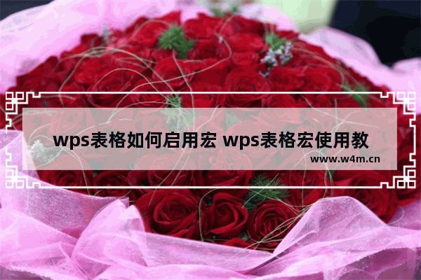 wps表格如何启用宏 wps表格宏使用教程攻略大全