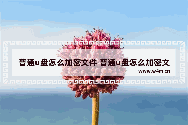 普通u盘怎么加密文件 普通u盘怎么加密文件