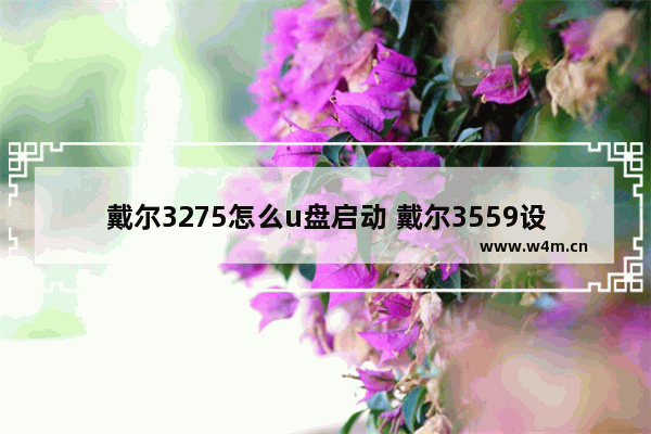 戴尔3275怎么u盘启动 戴尔3559设置u盘启动