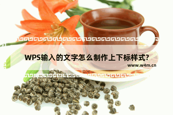 WPS输入的文字怎么制作上下标样式?