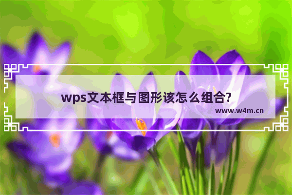 wps文本框与图形该怎么组合?