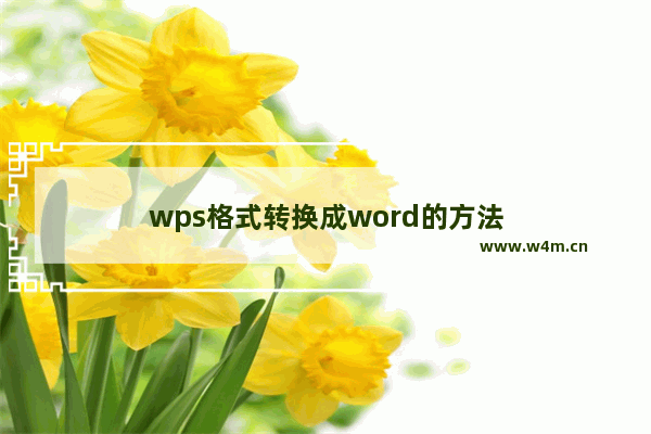 wps格式转换成word的方法