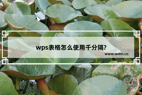 wps表格怎么使用千分隔?