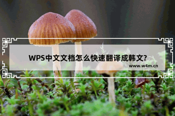 WPS中文文档怎么快速翻译成韩文?